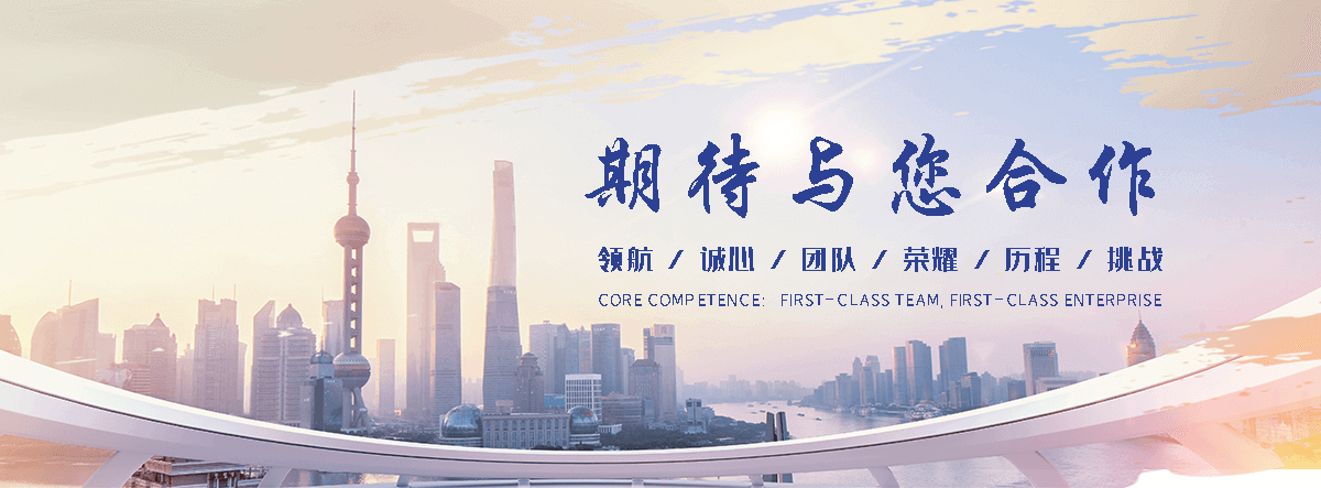 阜阳海狮租赁公司